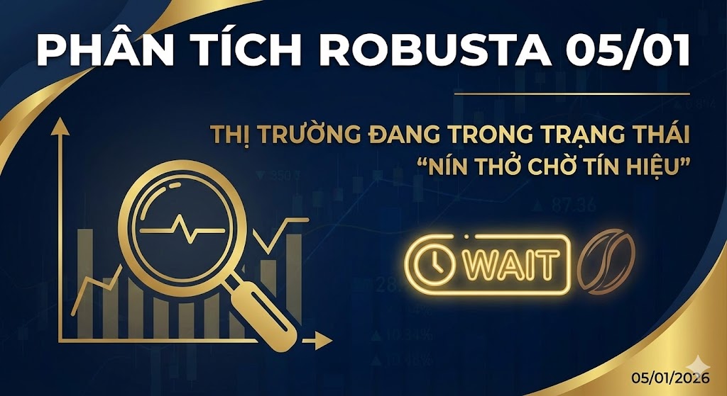 Phân tích Robusta 05/01: Thị trường đang trong trạng thái 